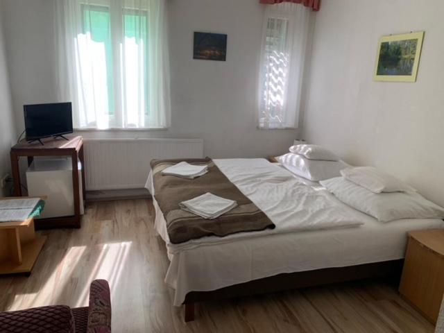 Repashuta Sebesviz Panzio B&B 외부 사진