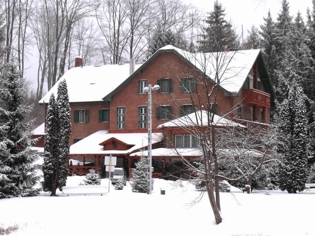 Repashuta Sebesviz Panzio B&B 외부 사진