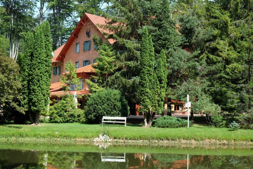Repashuta Sebesviz Panzio B&B 외부 사진
